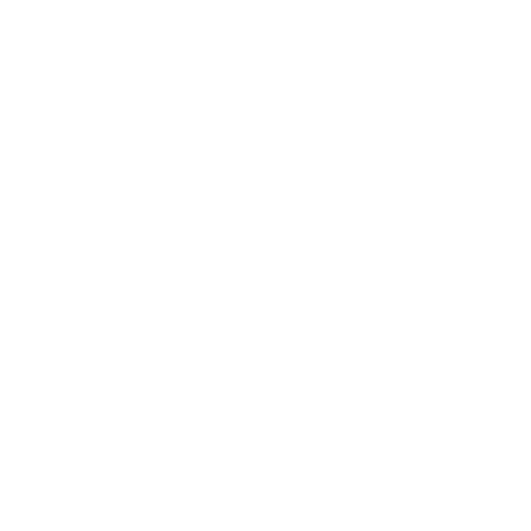 Color Brigade